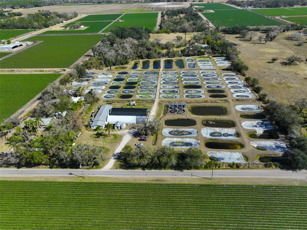 20112 Hobbs Road Wimauma, FL 33598 - Photo 88 of 94