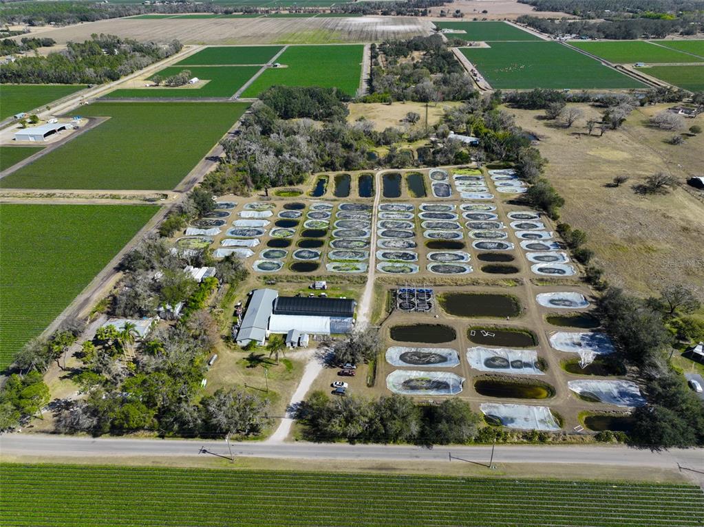 20112 Hobbs Road Wimauma, FL 33598 - Photo 91 of 94