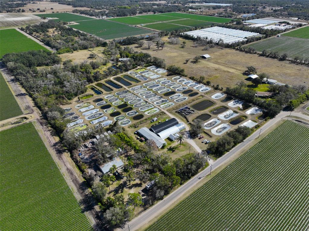 20112 Hobbs Road Wimauma, FL 33598 - Photo 92 of 94