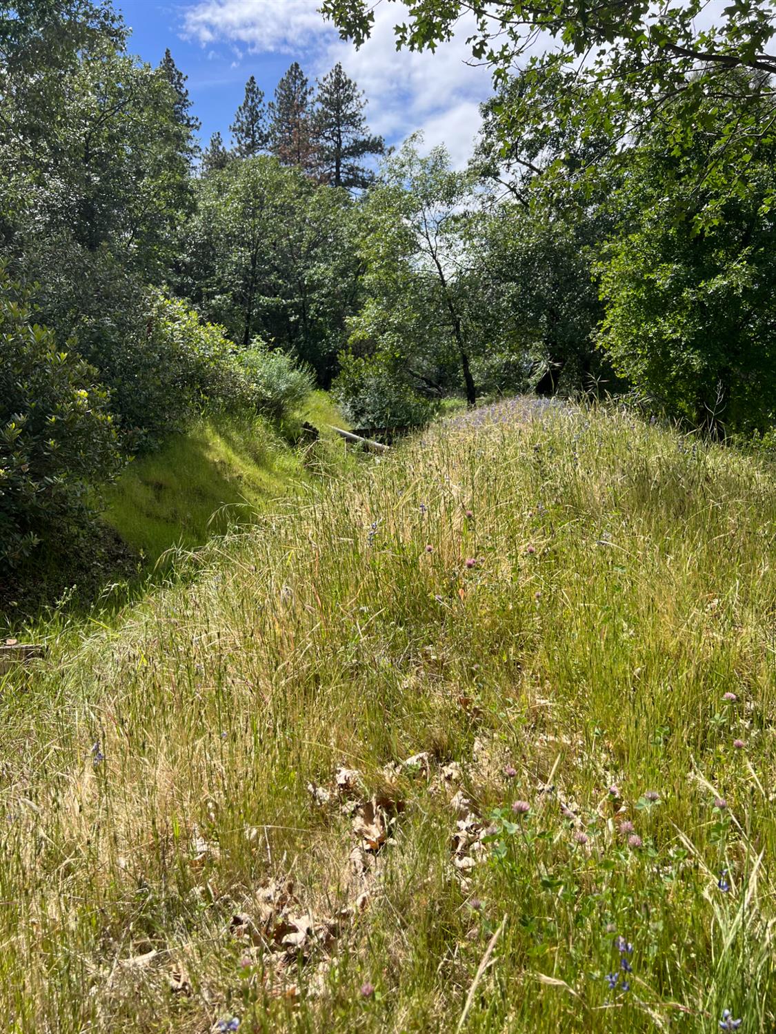 3085 Texerna Court Placerville, CA 95667 - Photo 33 of 38