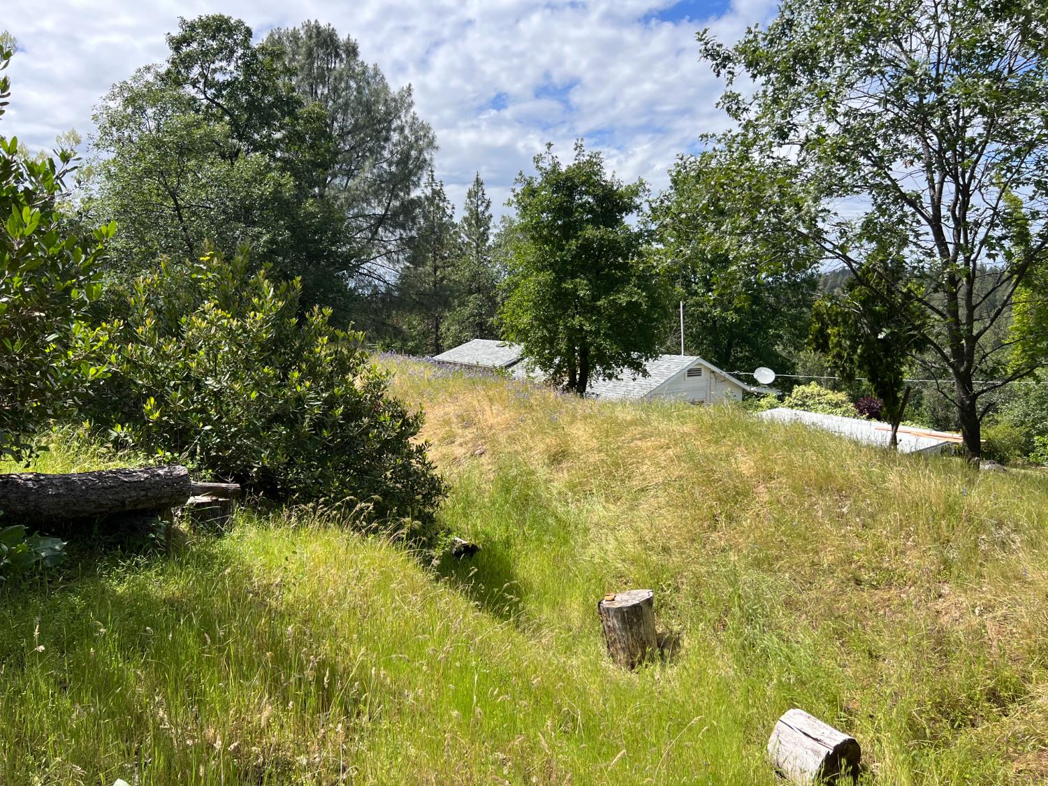 3085 Texerna Court Placerville, CA 95667 - Photo 37 of 38