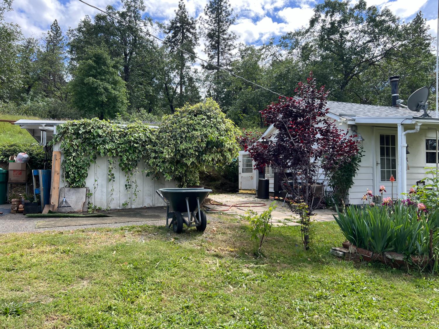 3085 Texerna Court Placerville, CA 95667 - Photo 4 of 38