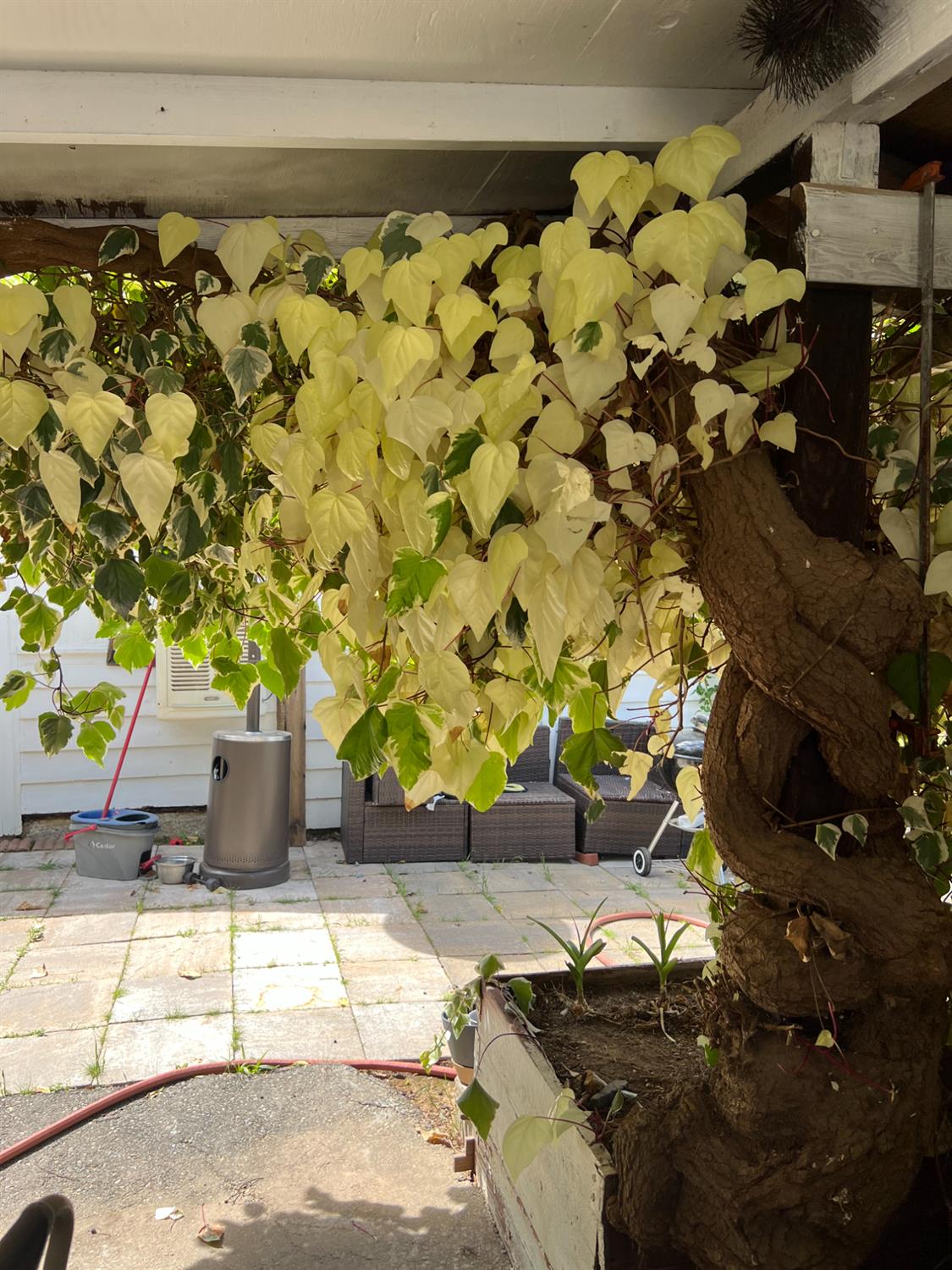 3085 Texerna Court Placerville, CA 95667 - Photo 5 of 38