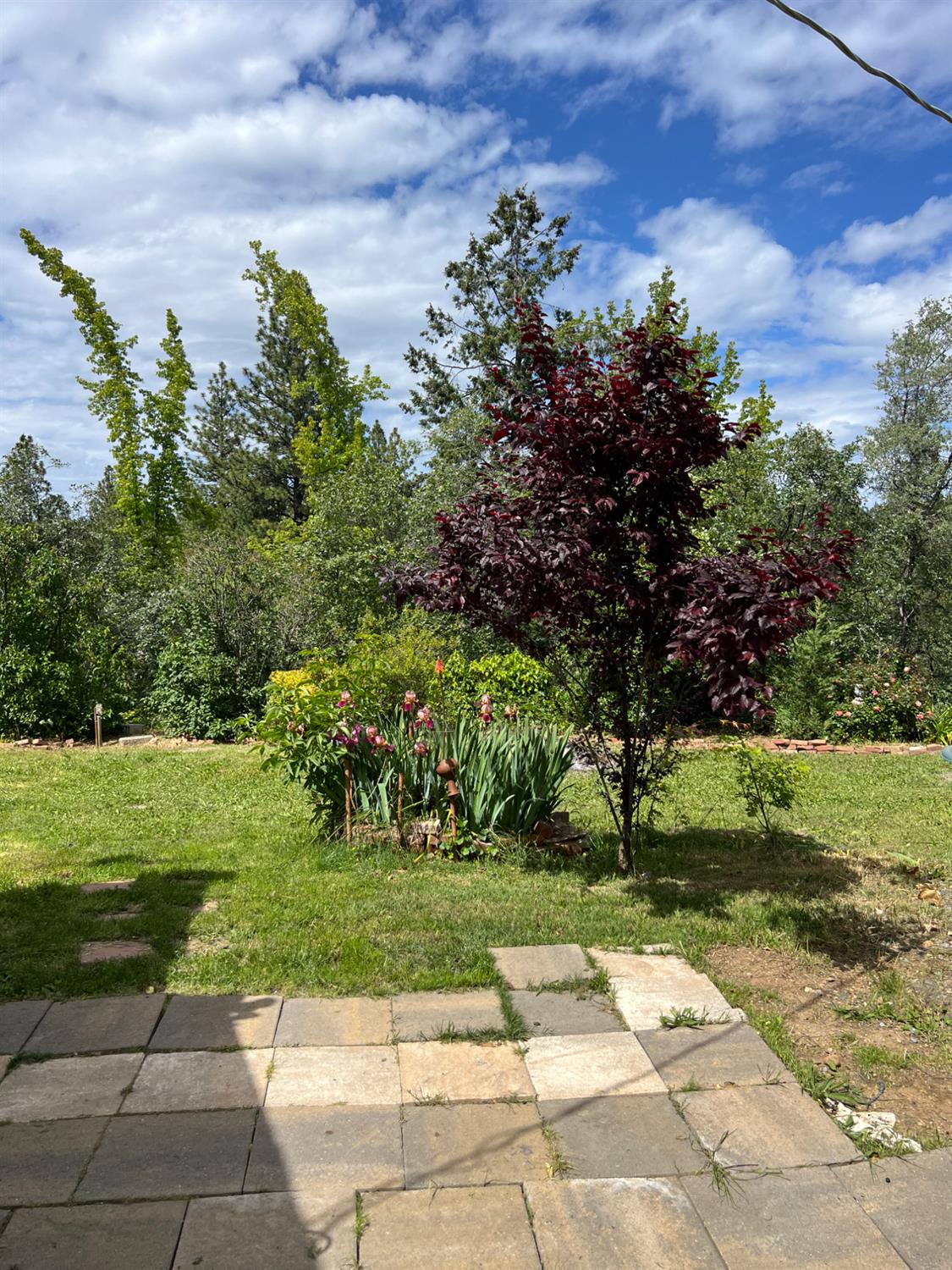 3085 Texerna Court Placerville, CA 95667 - Photo 7 of 38