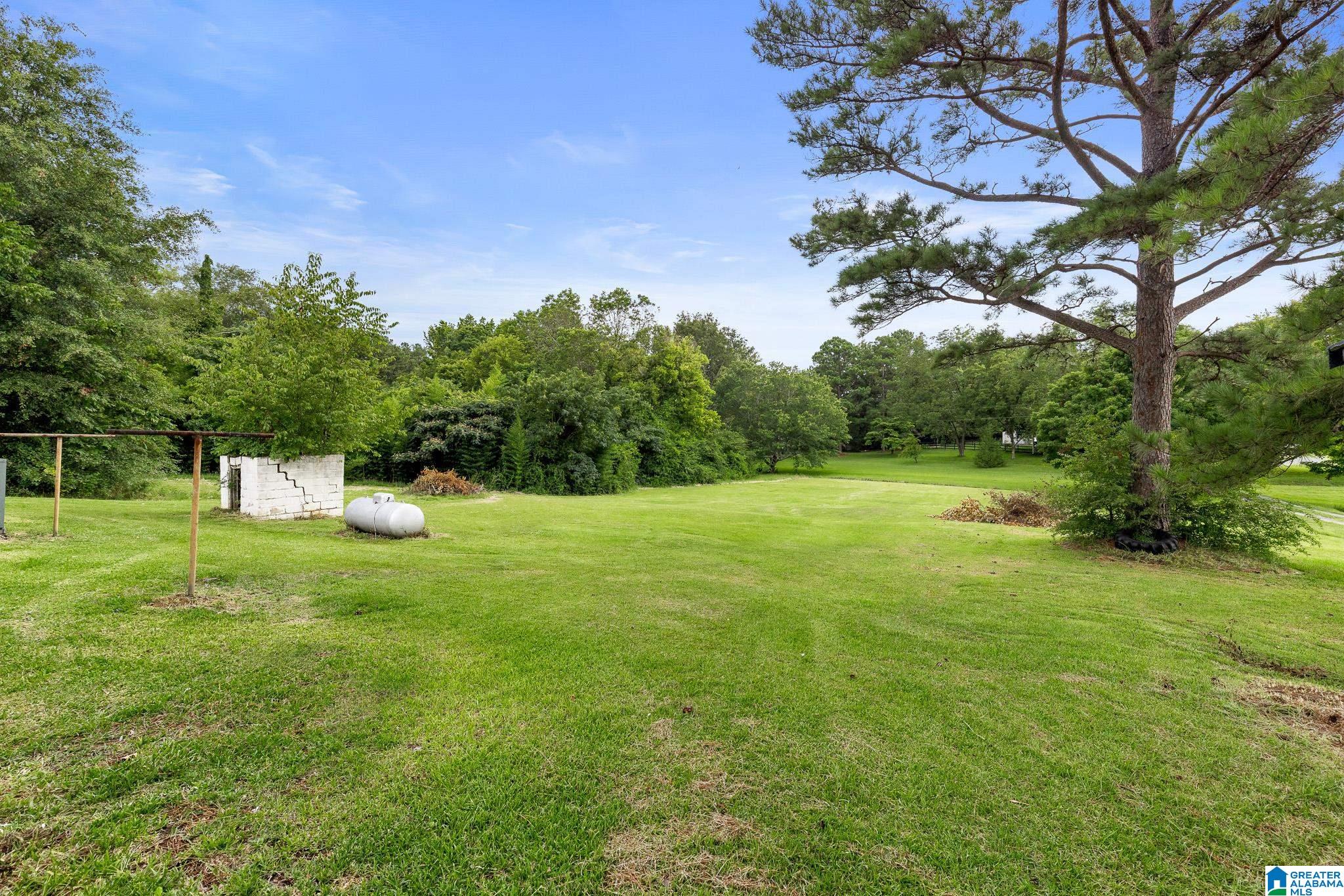 458 Flag Pole Mountain Road Childersburg, AL 35151 - Photo 25 of 27