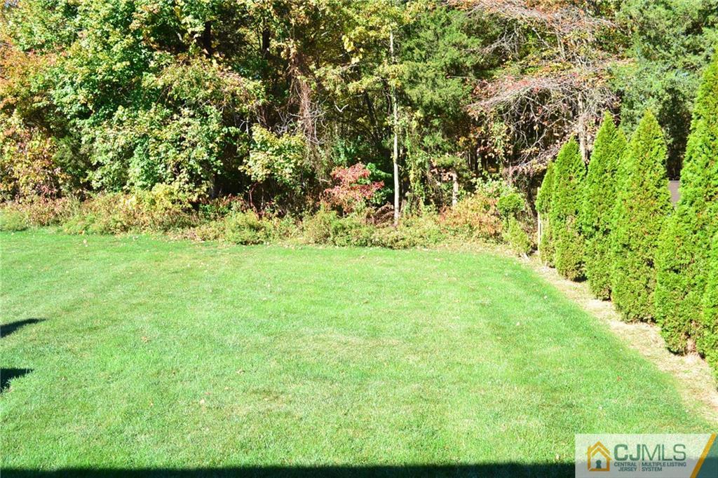 19 Dickerson Lane, Unit X Old Bridge, NJ 08857 - Photo 22 of 25 a view of yard with green space