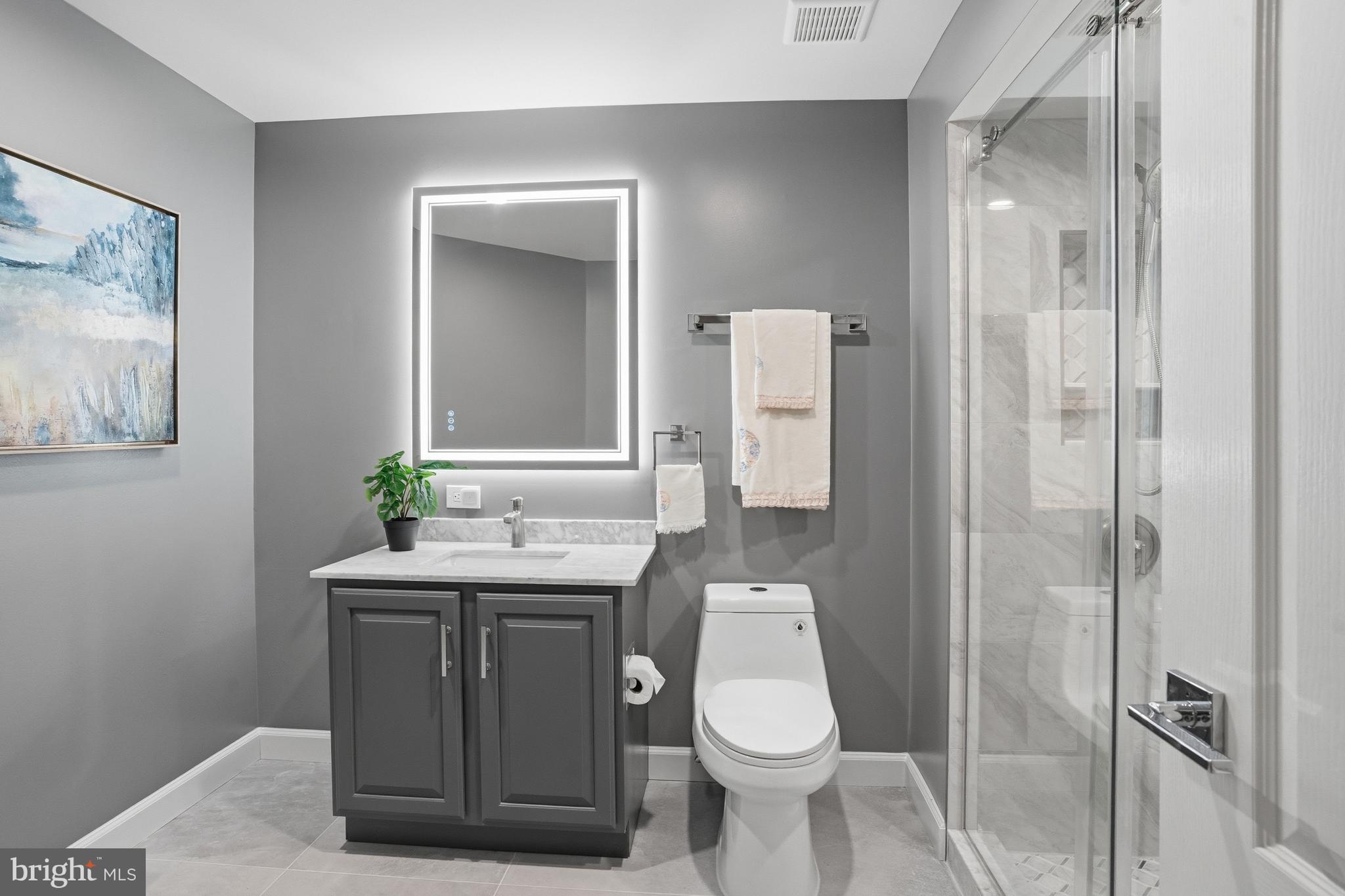 1156 Fieldview Drive Reston, VA 20194 - Photo 79 of 104 a bathroom with a toilet a sink and mirror