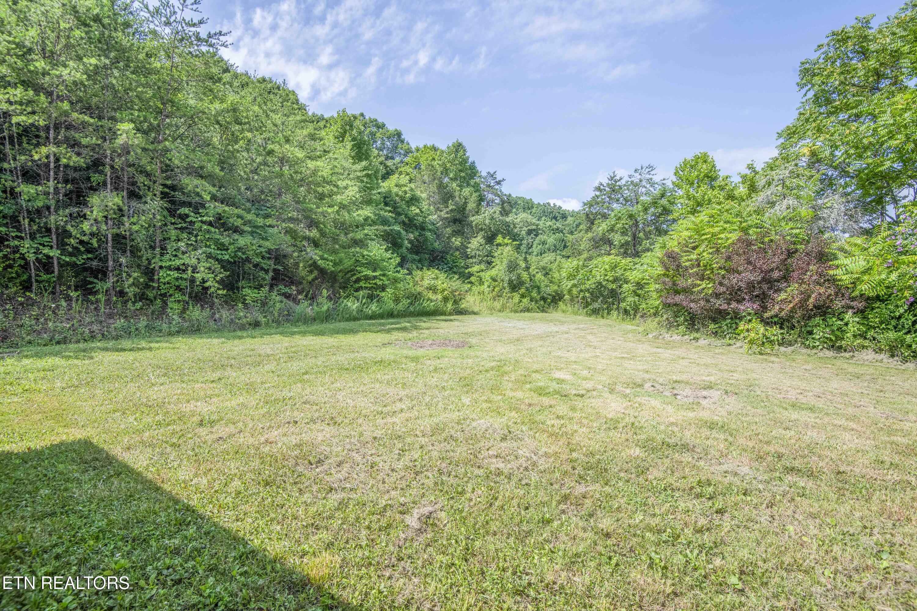 1587 Lower Caney Valley Road Tazewell, TN 37879 - Photo 34 of 42 yard 12_1