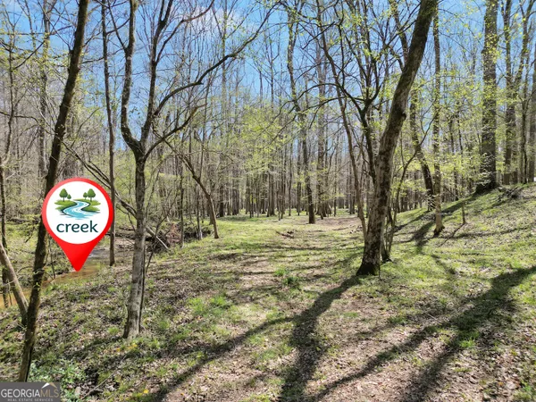 $999,000 | 404 Blue Store Road, Forsyth, GA 31029
