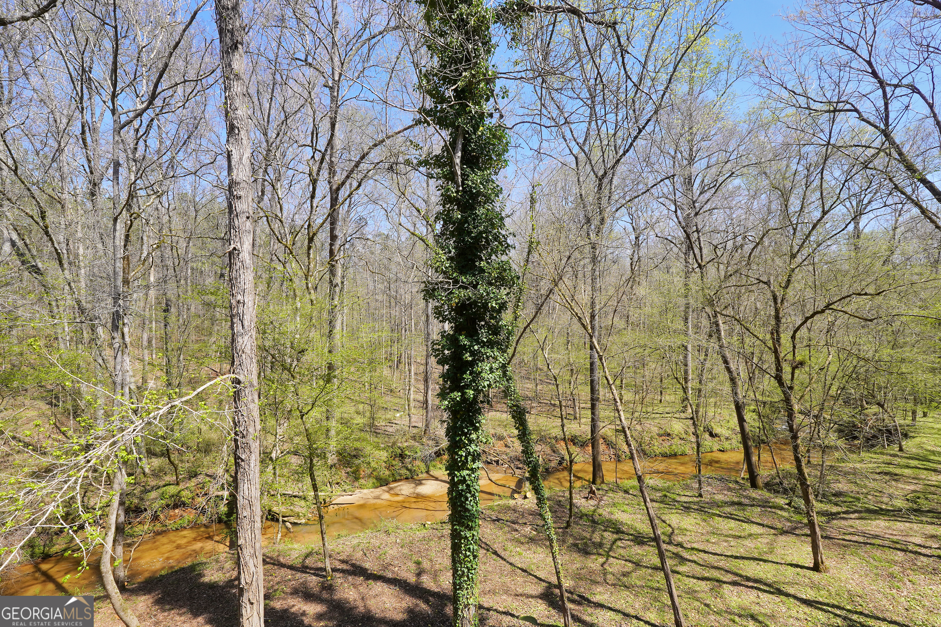 404 Blue Store Road Forsyth, GA 31029 - Photo 58 of 62