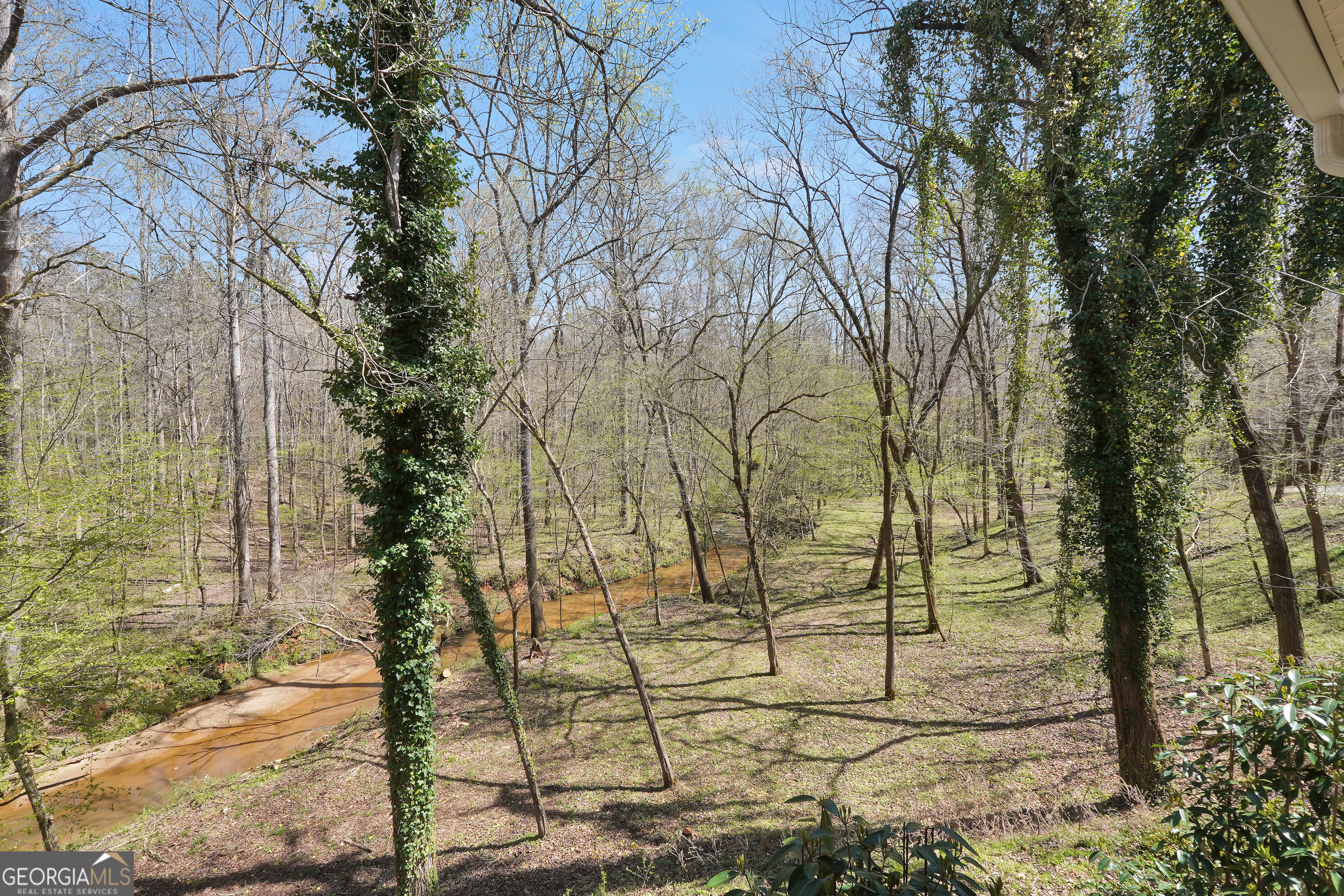 404 Blue Store Road Forsyth, GA 31029 - Photo 59 of 62