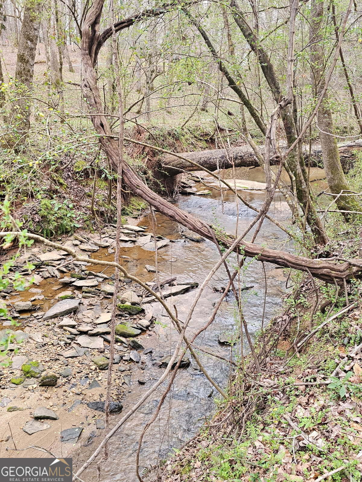 404 Blue Store Road Forsyth, GA 31029 - Photo 65 of 67