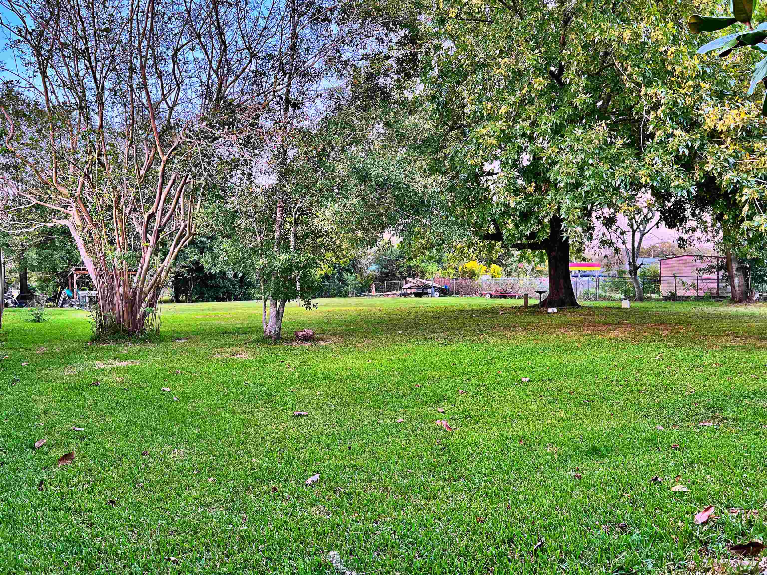 25125 Olive Street Elberta, AL 36530 - Photo 28 of 32 Yard
