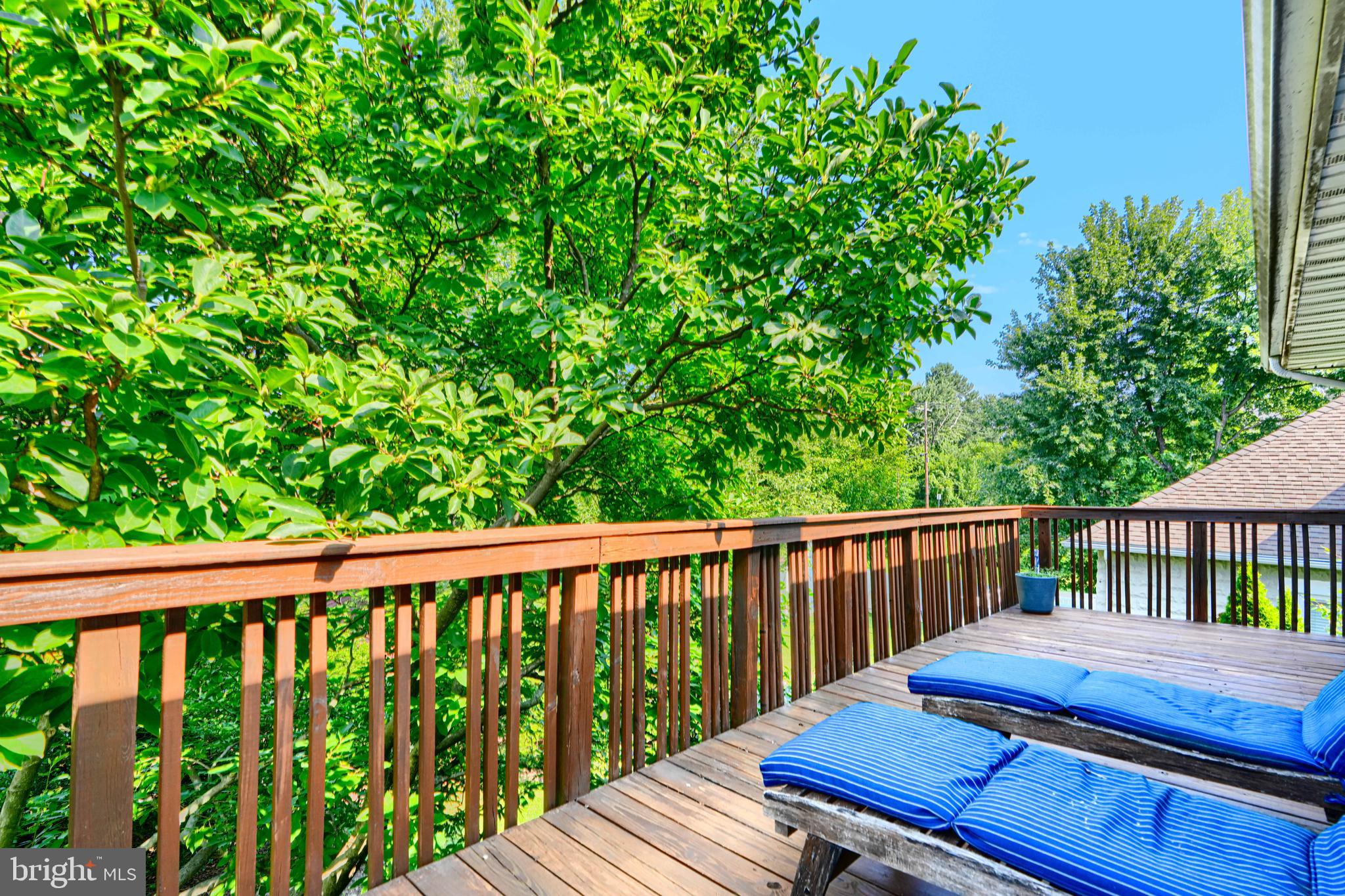 5316 Catalpha Road Baltimore, MD 21214 - Photo 33 of 54 a view of a wooden deck