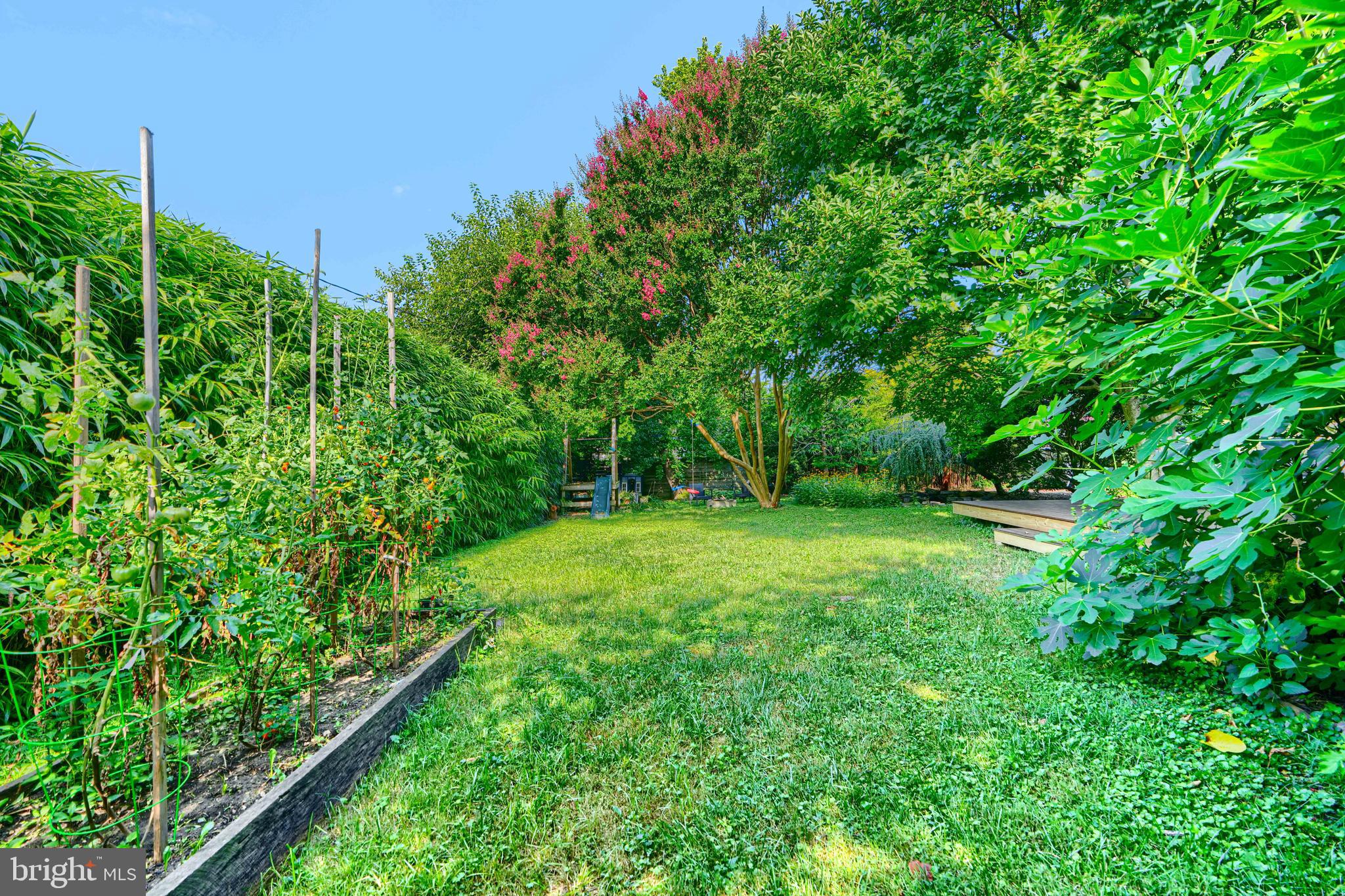 5316 Catalpha Road Baltimore, MD 21214 - Photo 38 of 54 a view of a lush green space