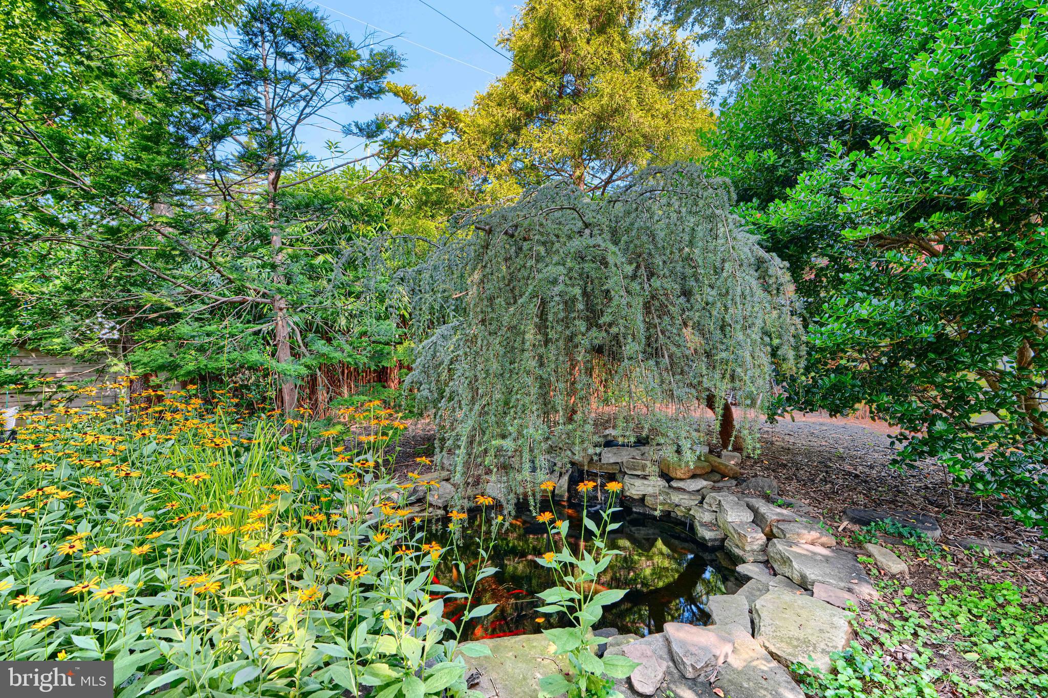 5316 Catalpha Road Baltimore, MD 21214 - Photo 43 of 54 a view of a garden with plants