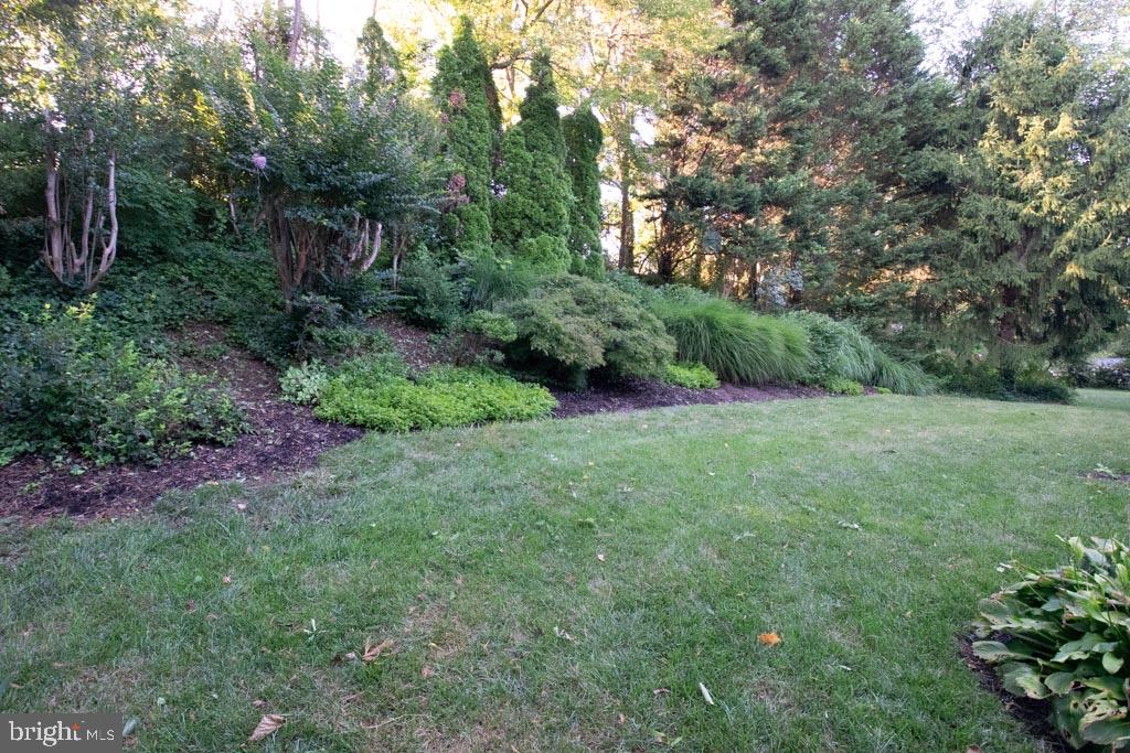 108 Dewalt Road Newark, DE 19711 - Photo 34 of 38 Landscaped rear yard view from side of property