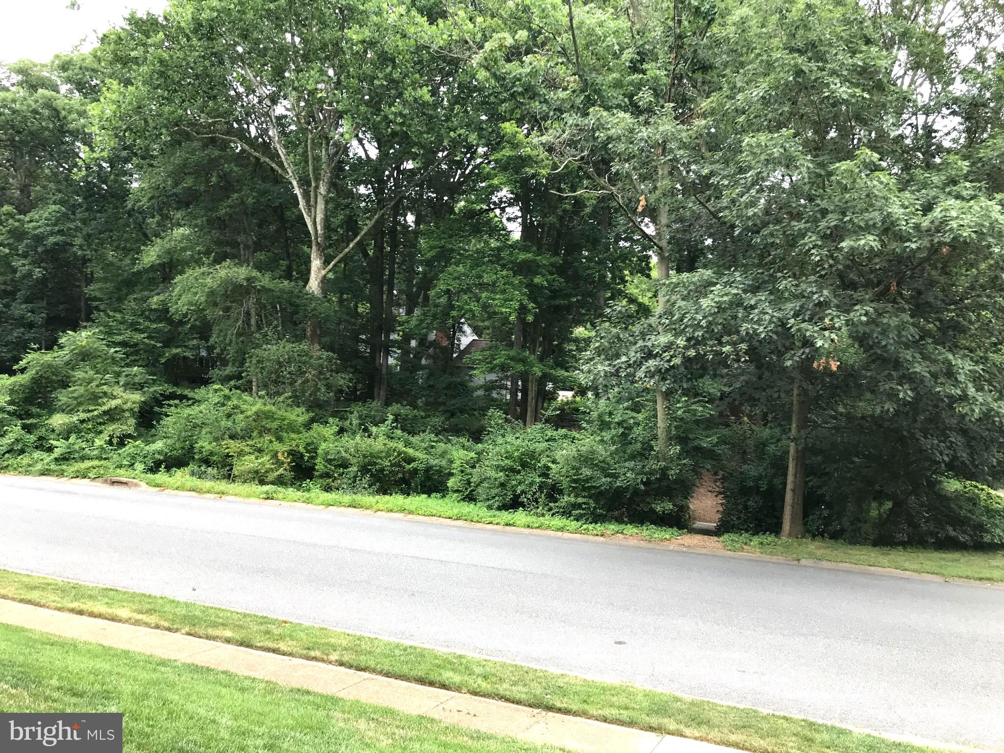 108 Dewalt Road Newark, DE 19711 - Photo 4 of 38 across street neighborhood(squirrels)