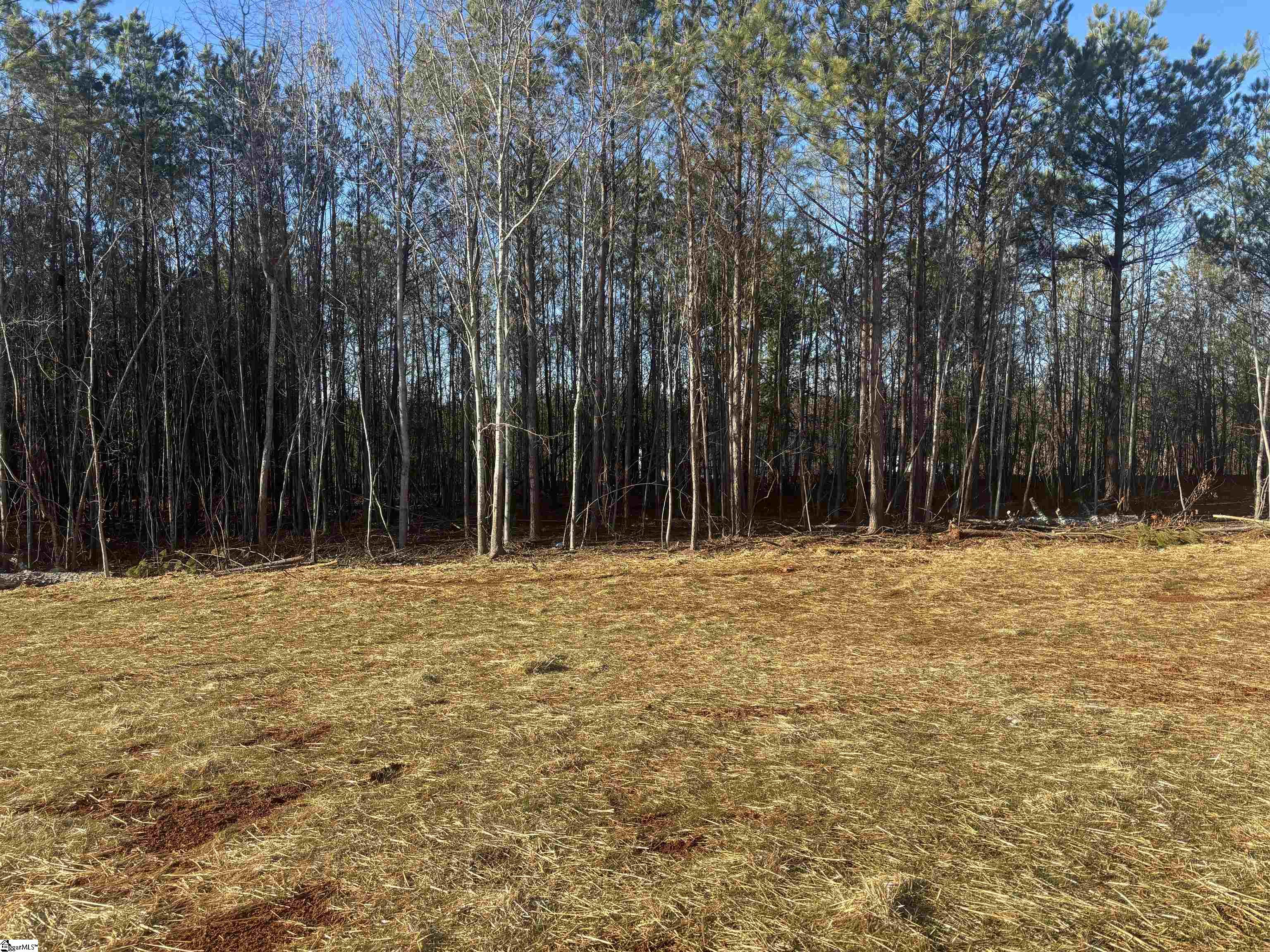 6006 Pearman Dairy Road Anderson, SC 29625 - Photo 20 of 25 Gallery Image 20
