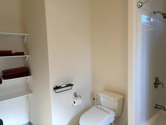 a view of a bunch of plants and flowers