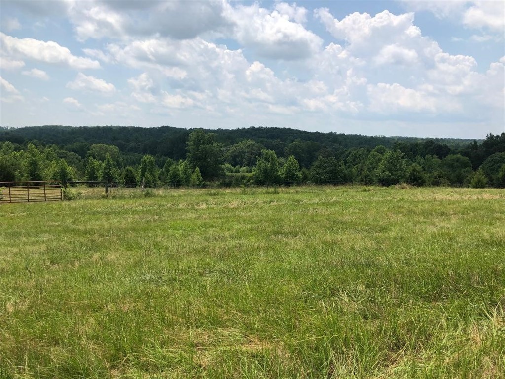 221 George Merck Road Anderson, SC 29626 - Photo 20 of 49 Gallery Image 20