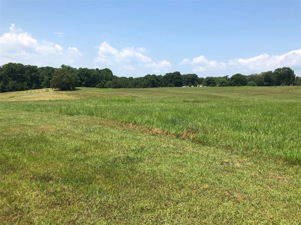 221 George Merck Road Anderson, SC 29626 - Photo 42 of 49 Gallery Image 42