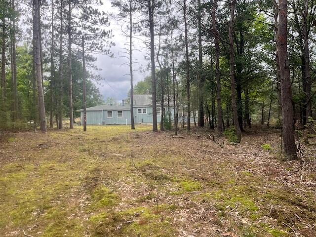 2269 West Treml Road Free Soil, MI 49411 - Photo 18 of 64 IMG_6659