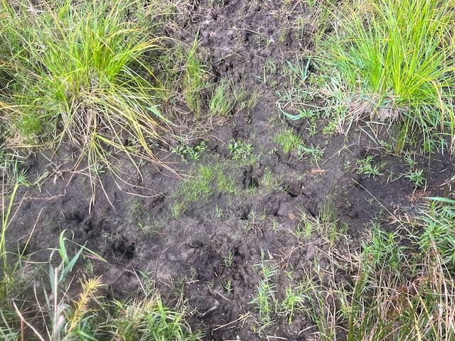 2269 West Treml Road Free Soil, MI 49411 - Photo 42 of 64 IMG_6621