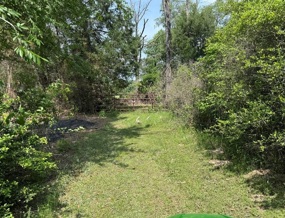 18242 Old Bundick Road Bryan, TX 77808 - Photo 12 of 13 a view of yard with green space