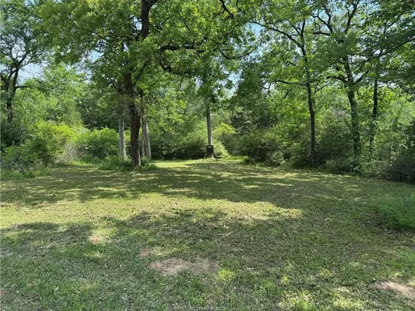 a view of a forest with a houses