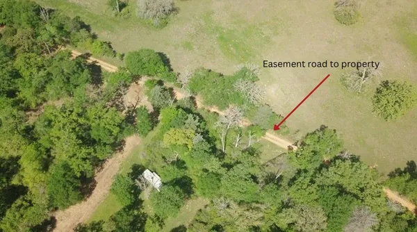 a view of a trees in a park