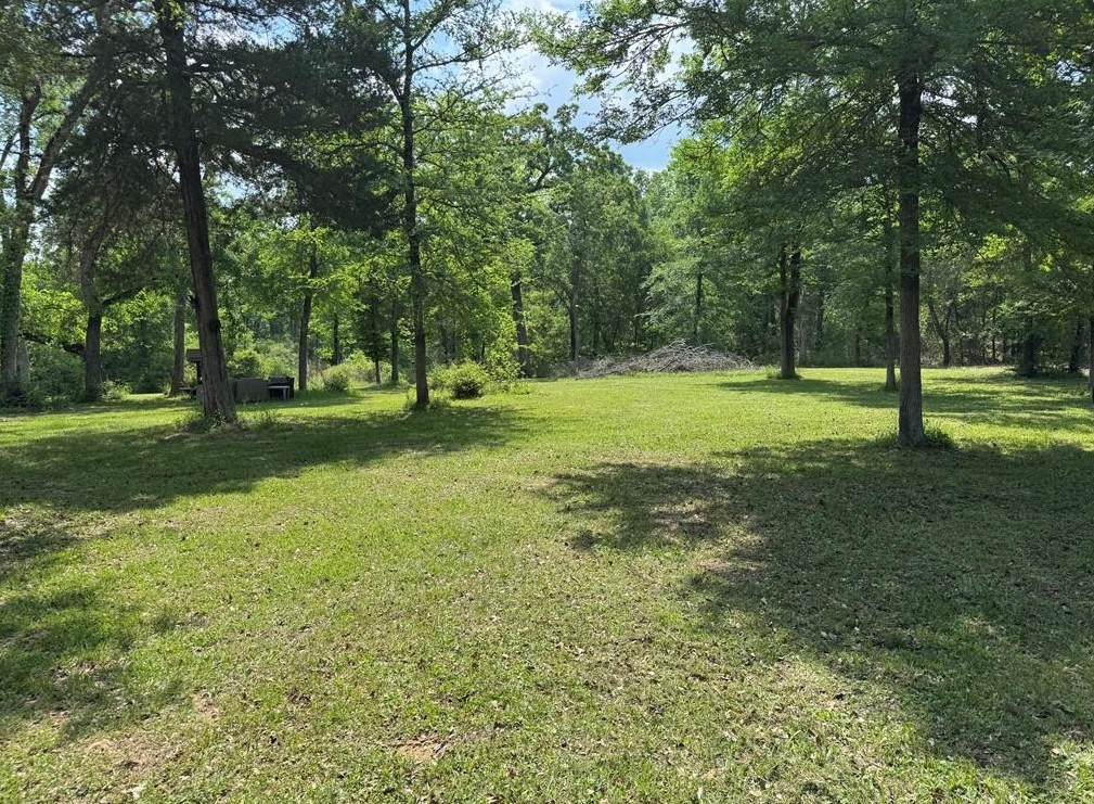 18242 Old Bundick Road Bryan, TX 77808 - Photo 9 of 13 a view of a trees in a park
