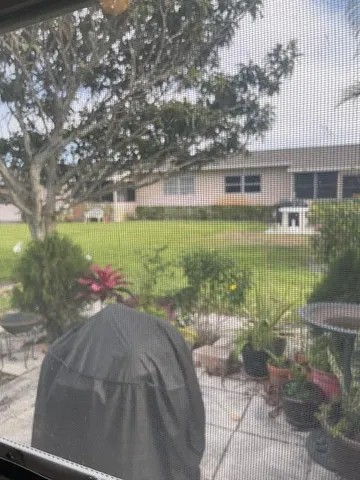 a view of a garden with a tree