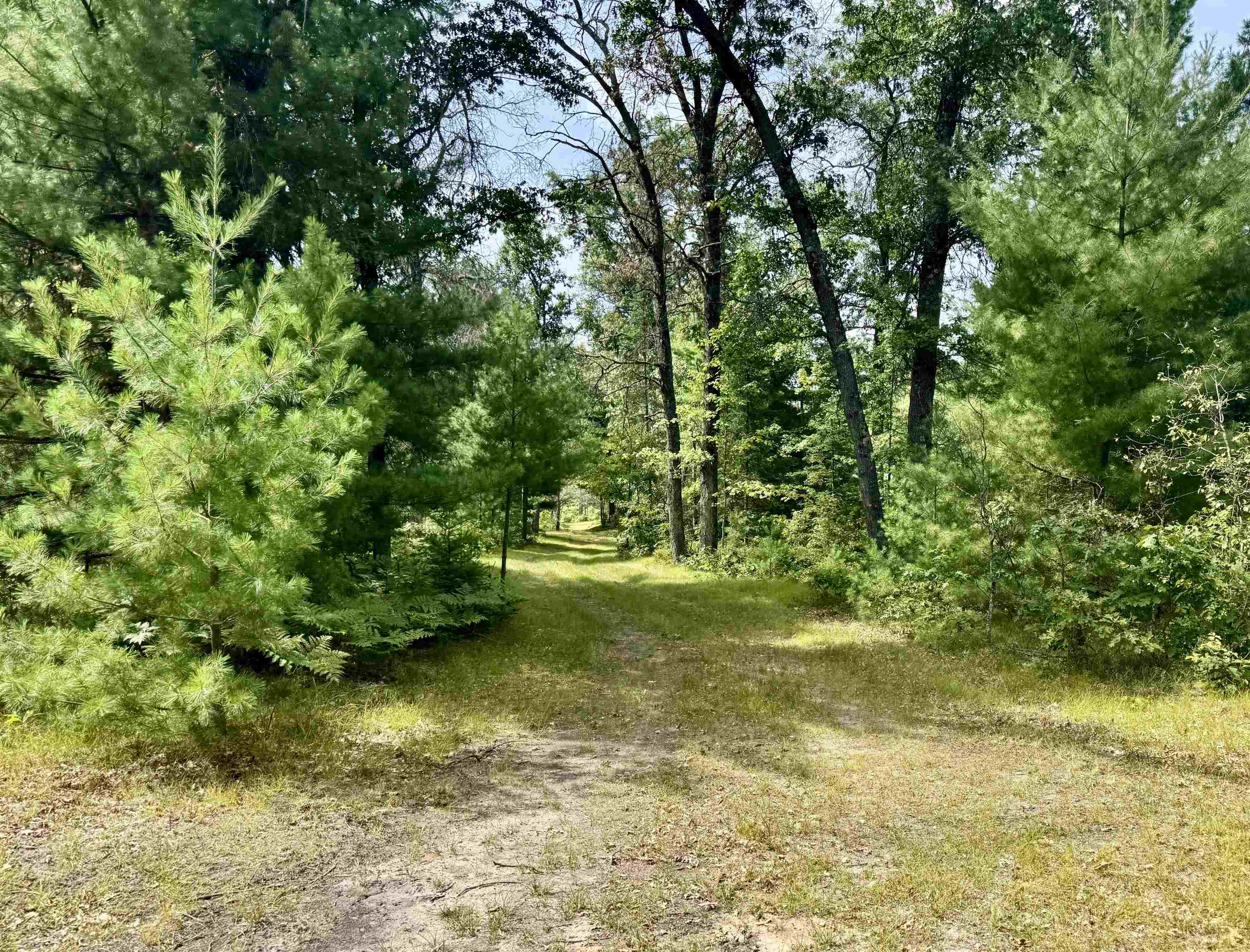 4105 North Strawberry Road Harrison, MI 48625 - Photo 35 of 63