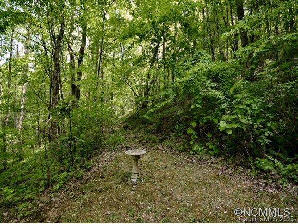 2223 Secluded Valley Road Marshall, NC 28753 - Photo 17 of 24 Gallery Image 17