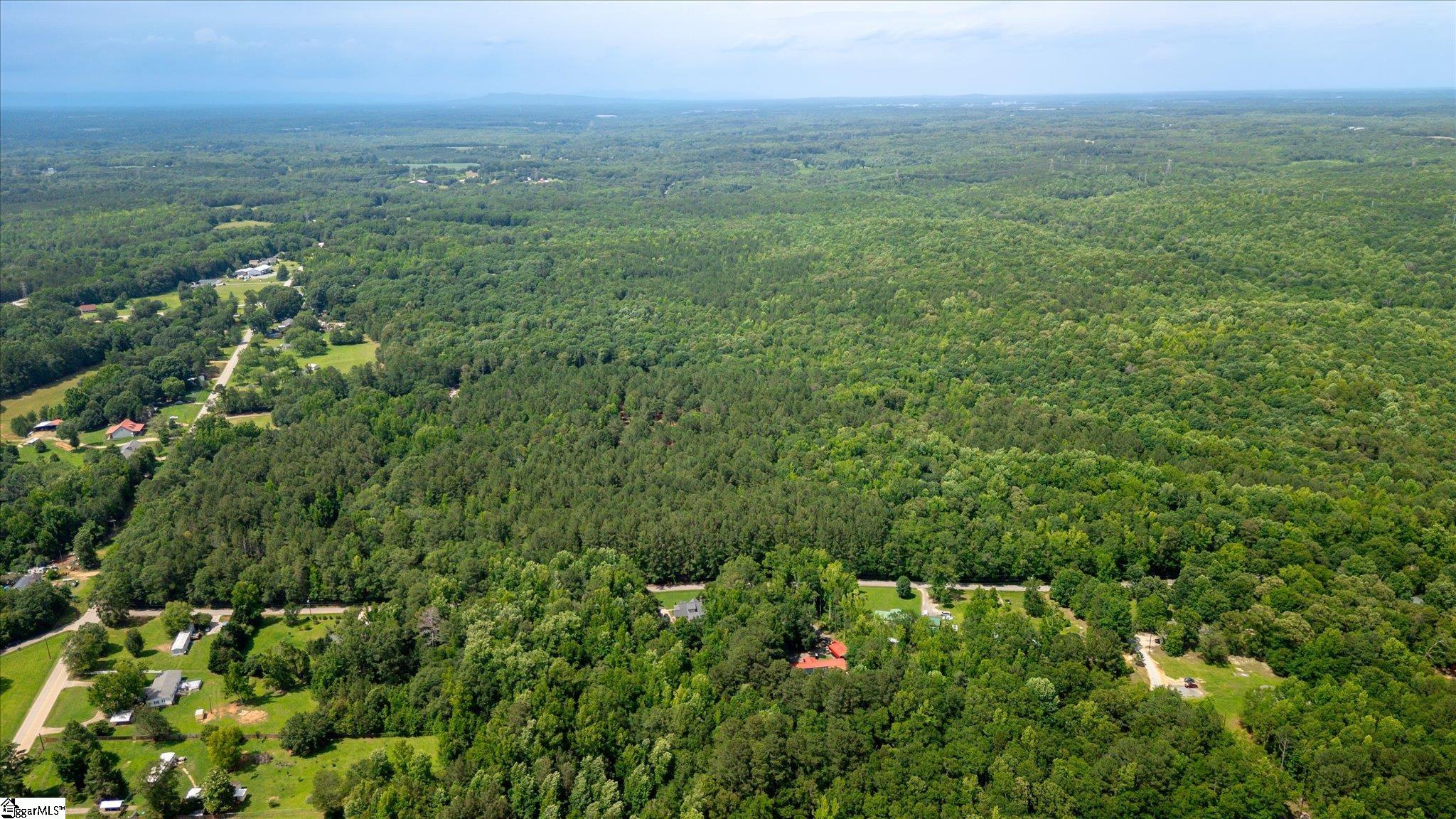 100 Watt Rogers Road, Unit TRACT 1 Pelzer, SC 29669 - Photo 11 of 12
