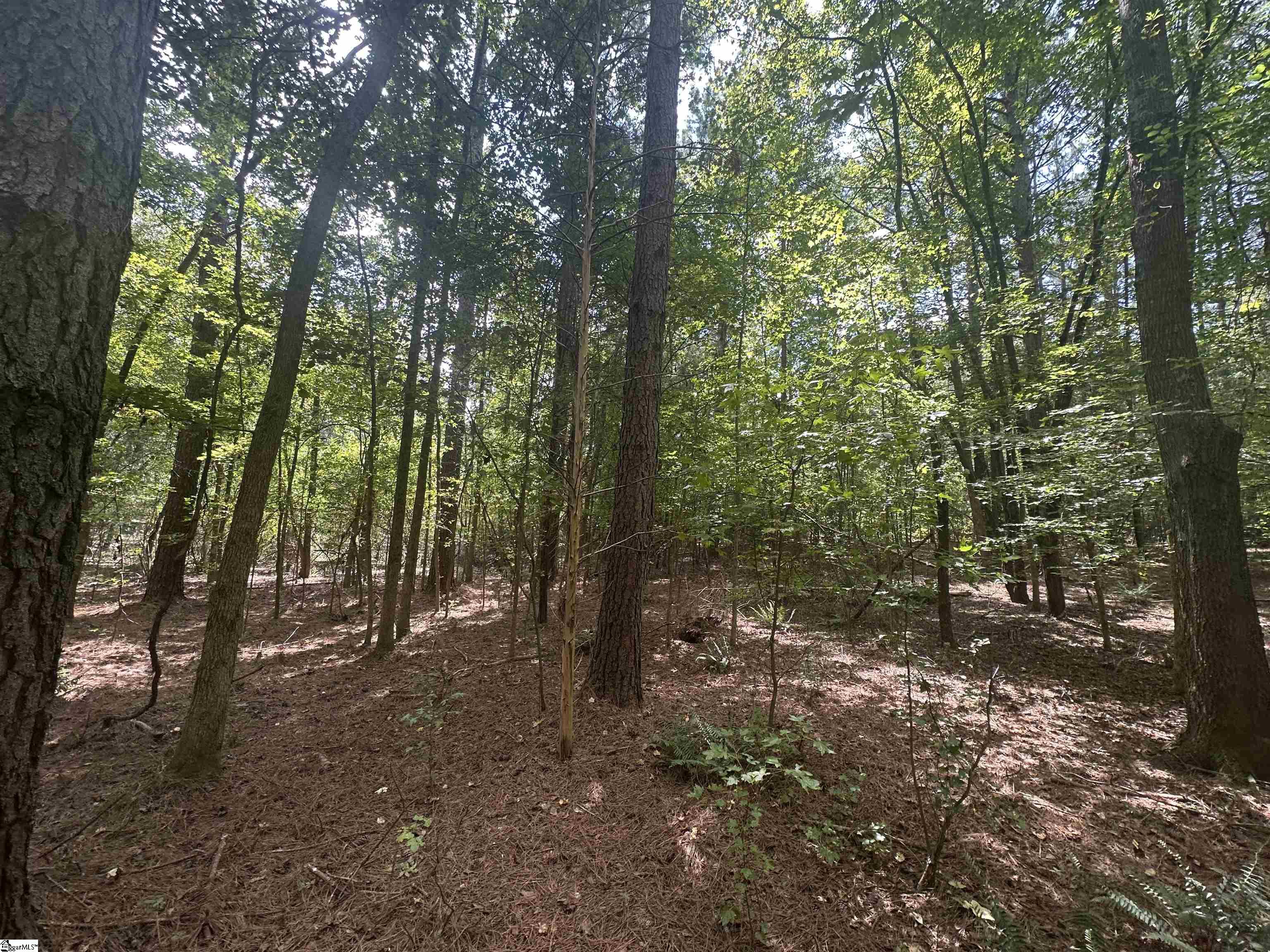 100 Watt Rogers Road, Unit TRACT 1 Pelzer, SC 29669 - Photo 3 of 12