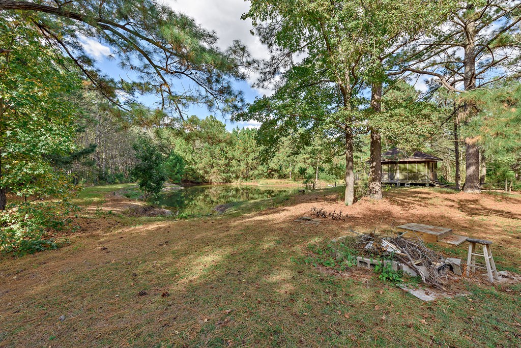 242 Providence Road Slocomb, AL 36375 - Photo 39 of 55 Back Yard