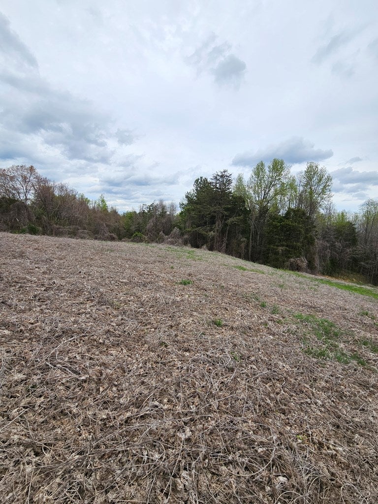 307 10 Holly Farms Road Rice, VA 23966 - Photo 5 of 27 Gallery Image 5