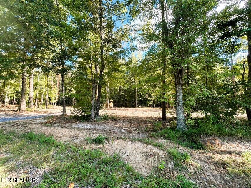 3 Pleasant Hill Road Ten Mile, TN 37880 - Photo 7 of 13 Tract 3 PH 3