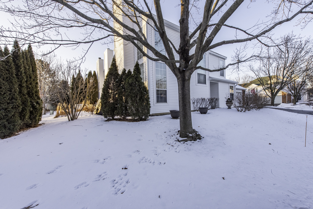 110 Lauralton Street Lake Bluff, IL 60044 - Photo 34 of 40