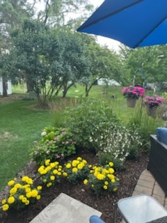 110 Lauralton Street Lake Bluff, IL 60044 - Photo 38 of 40