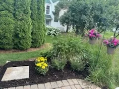 a view of a yard with plants