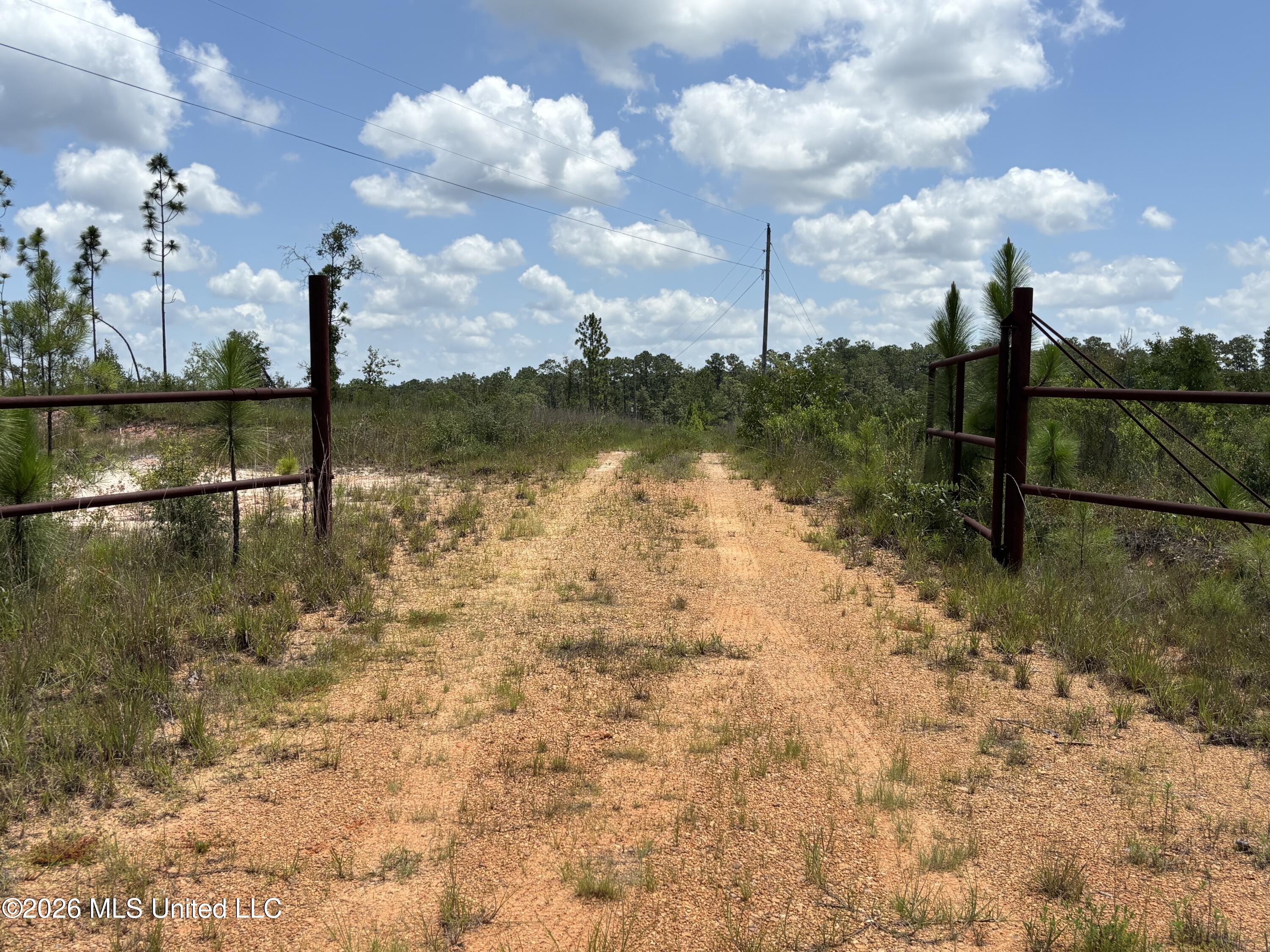 196 South County Line Road Lumberton, MS 39455 - Photo 5 of 18 IMG_3018
