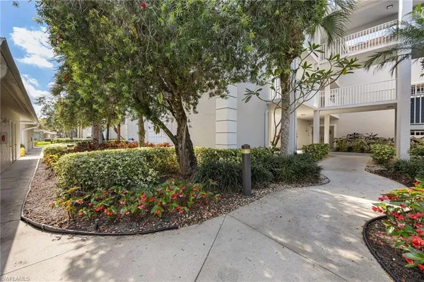 a view of a plants in front of house