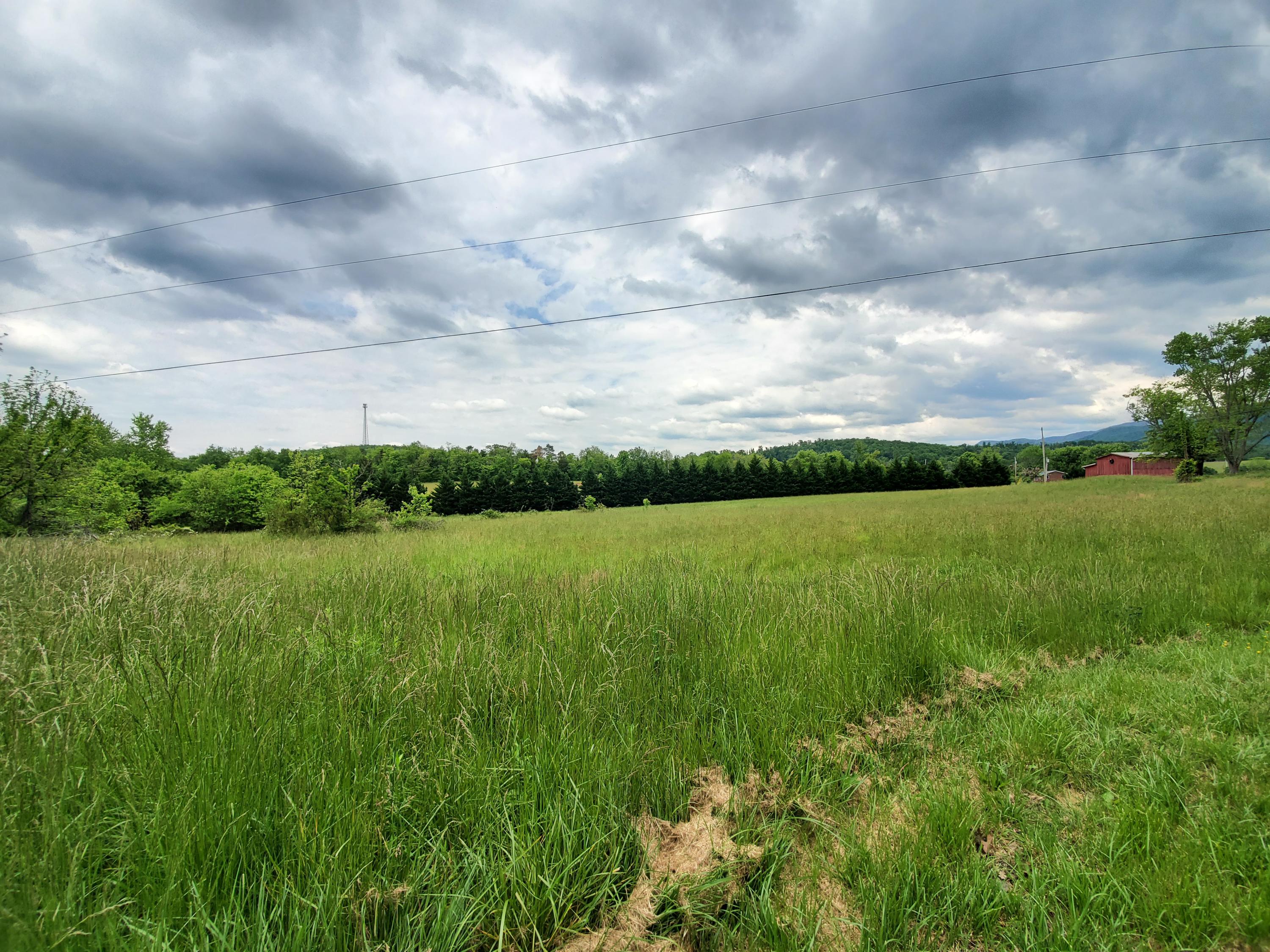 595 Union Chapel Road Afton, TN 37616 - Photo 2 of 14 20210517_134458