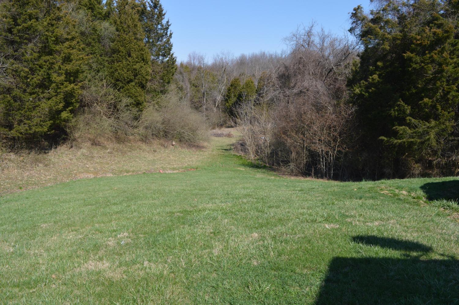 14181 Highway 250 Rising Sun, IN 47040 - Photo 15 of 16 Gallery Image 15