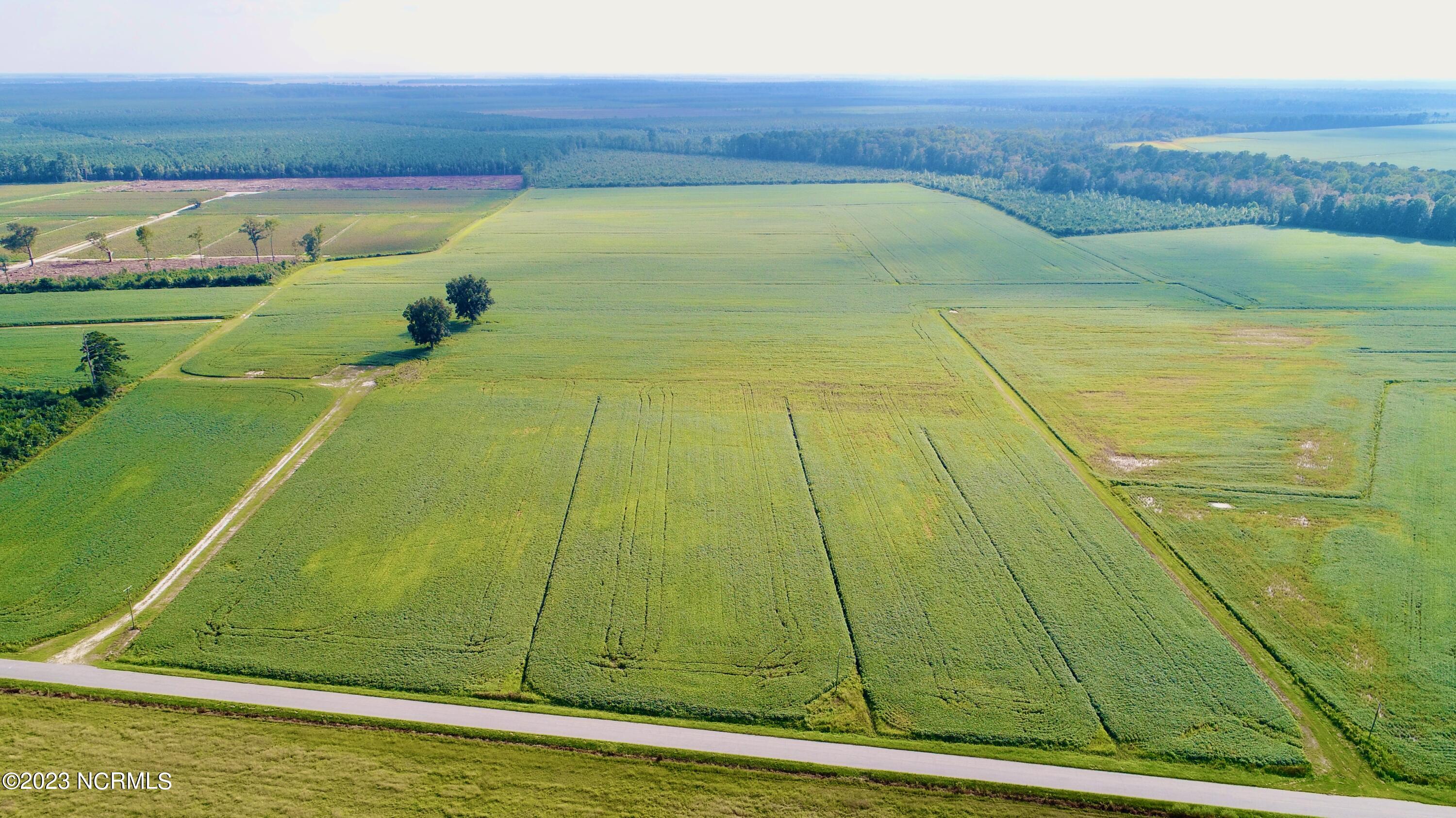 2334 West Millpond Road Roper, NC 27970 - Photo 4 of 52 DJI_0665