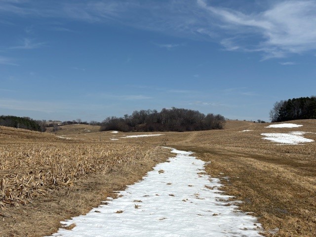 Xxx Halama Road Strum, WI 54770 - Photo 16 of 16