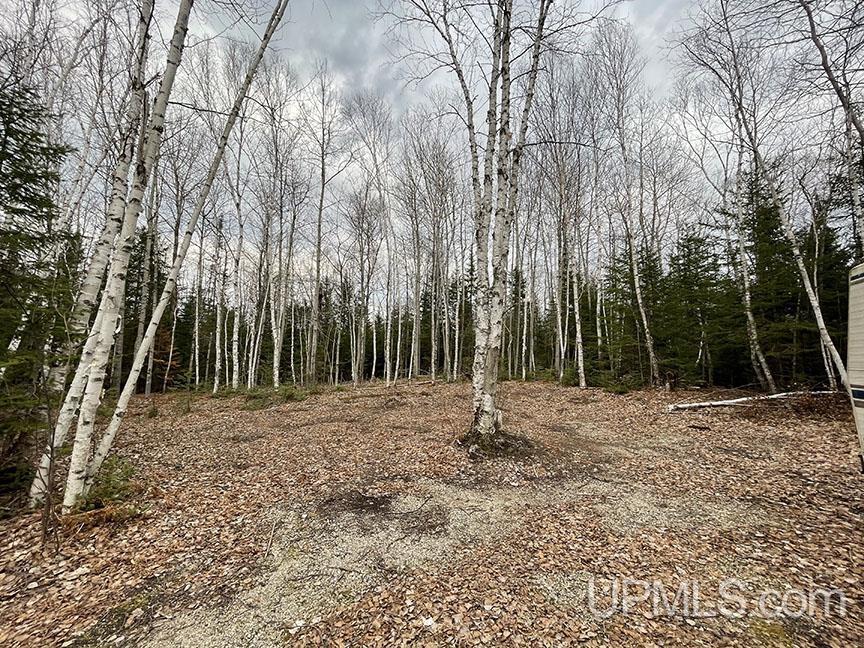 Tbd Merwin Creek Road Gulliver, MI 49840 - Photo 4 of 4 Gallery Image 4